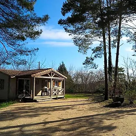 Les D'argentouleau 3*